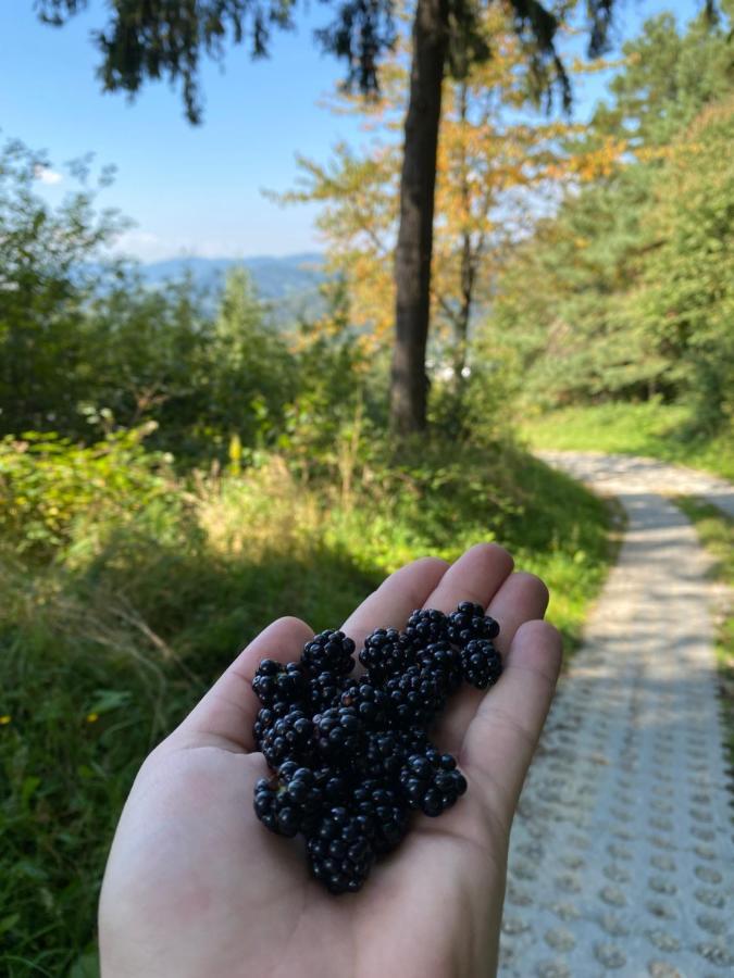 Milusia Muszyna Hotell Eksteriør bilde